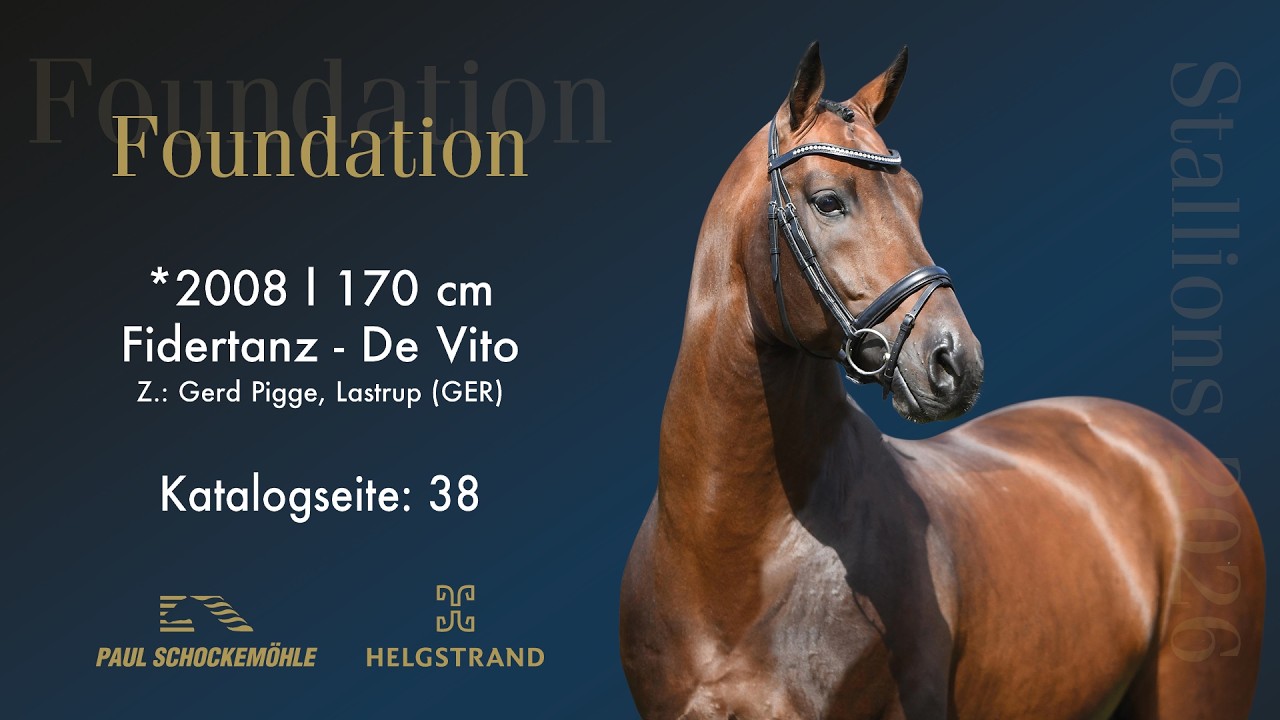 Foundation
