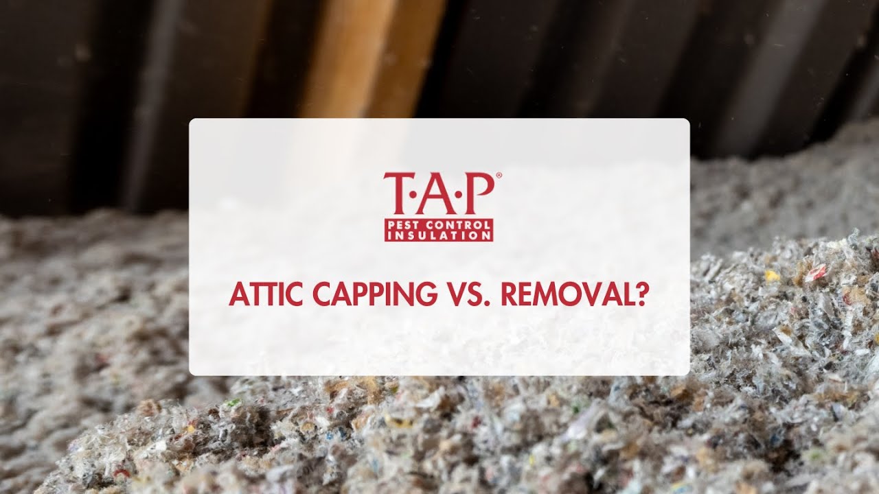 Attic Capping Vs. Removal
