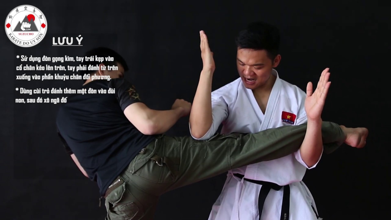 Hướng dẫn võ thuật tự vệ cơ bản phần 6  (Basic martial arts self defense instructions - part 6)