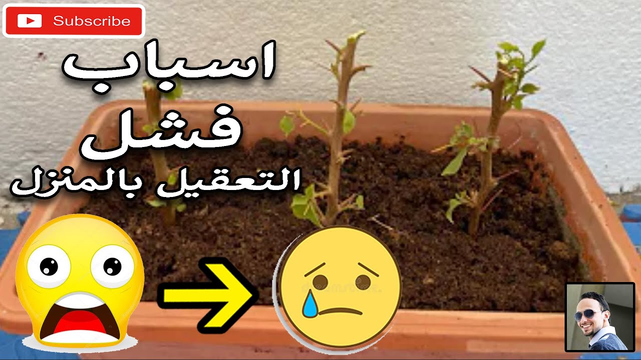 من النهاردة مش هتفشل فالتعقيل تاني - اسباب فشل التعقيل وطريقة الحل