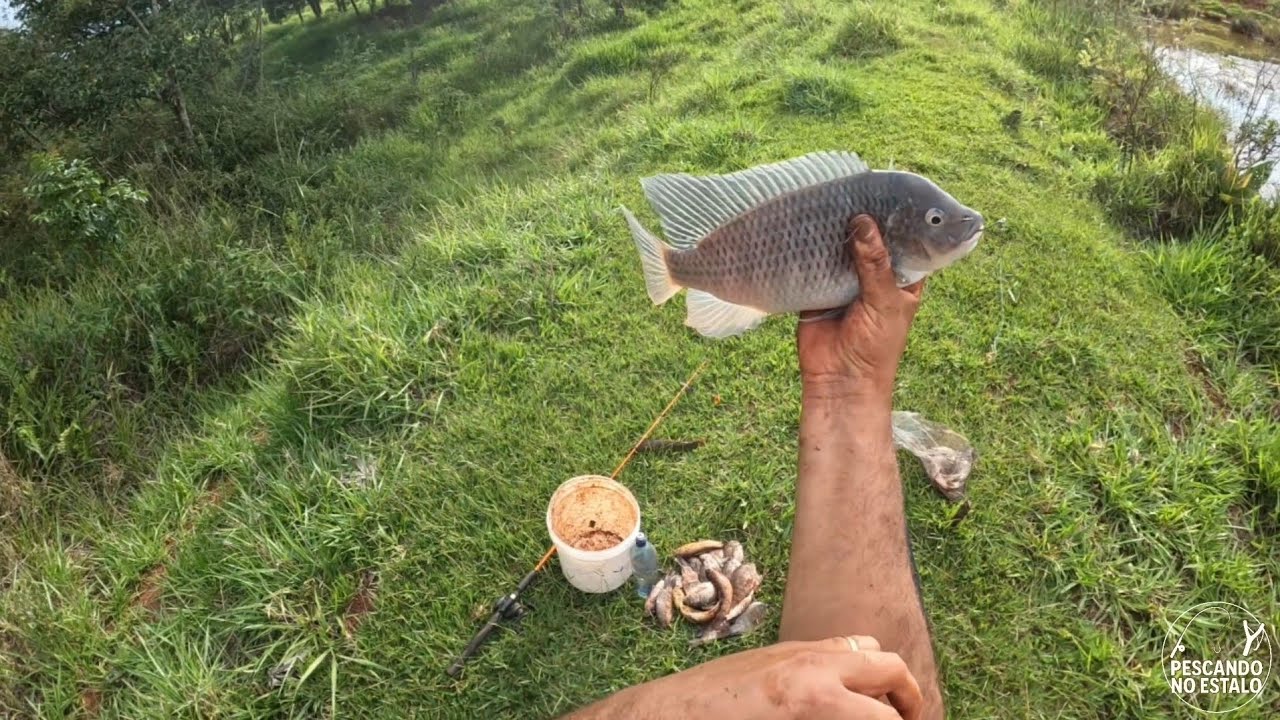 Acabou a Espera! Fim da Piracema! 