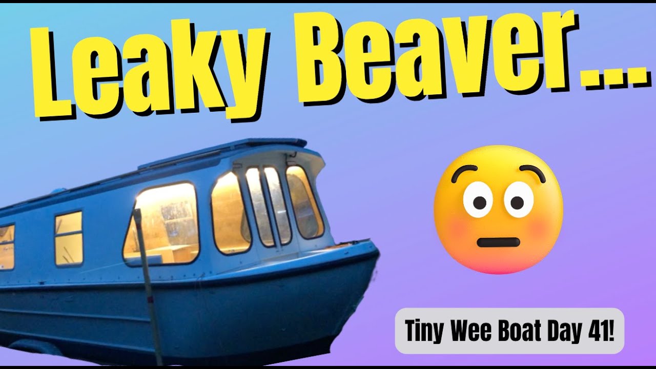Leaky Beaver - Tiny Wee Boat Day 41