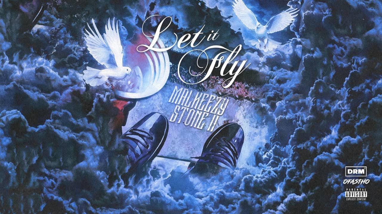 Malkeezy ft Stone II - Let It Fly (Visualizer)