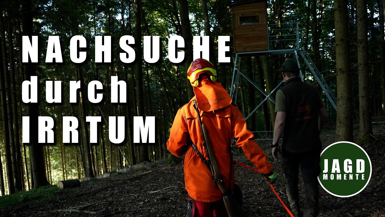 Kanzelbau und ein schneller Schuss mit Nachsuche | Webserie #12