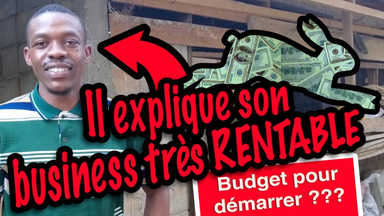 VLOG#1 Élevage de lapin au Cameroun (Business rentable)