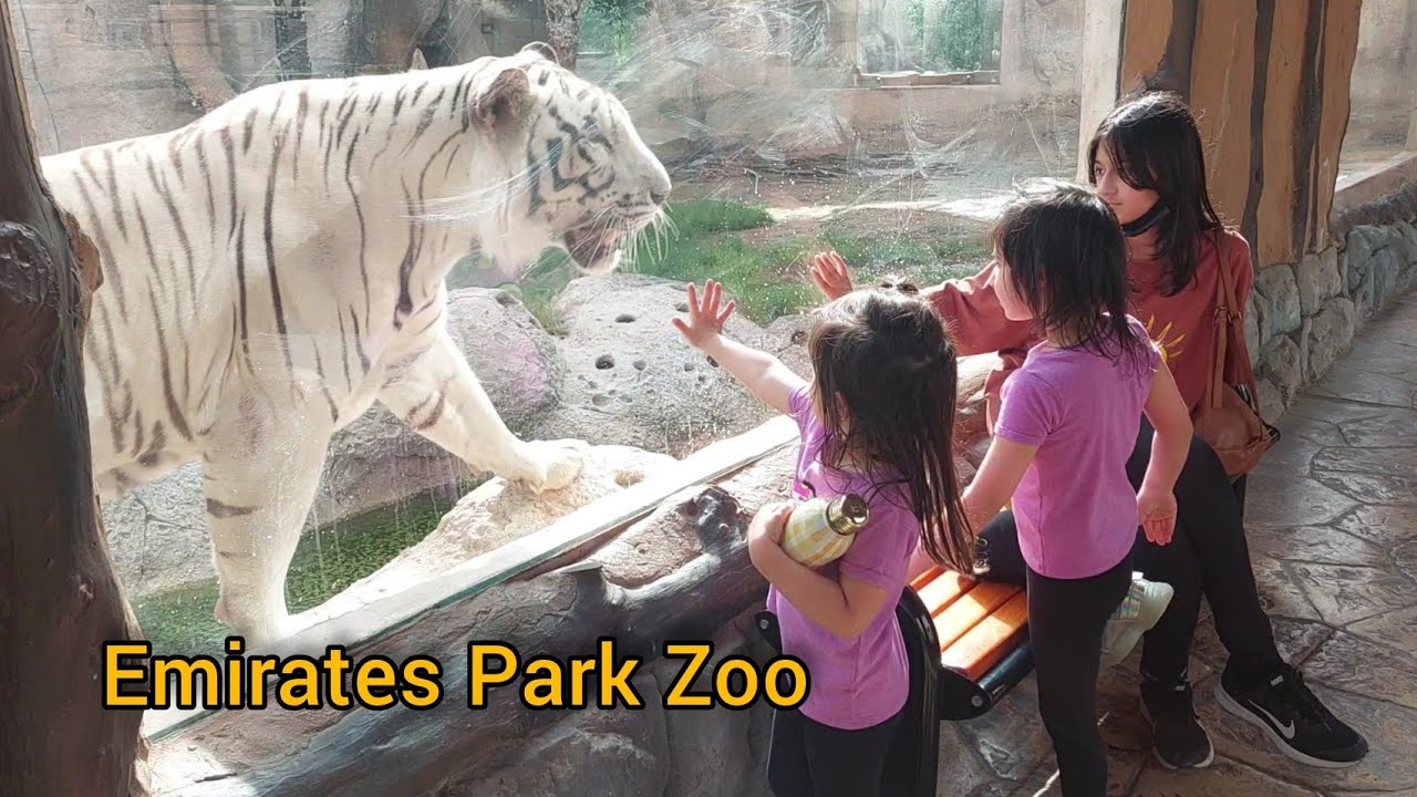 Emirates Park Zoo | The Best Zoo in UAE | Lets Explore | Abu Dhabi
