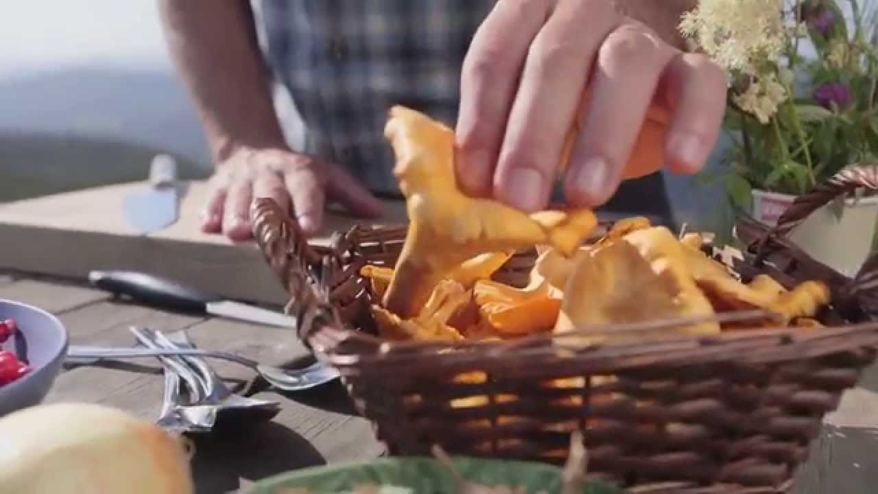 Tareq Taylor's Nordic Cookery - H&ouml;ga Kusten - Elk, Cloudberries &