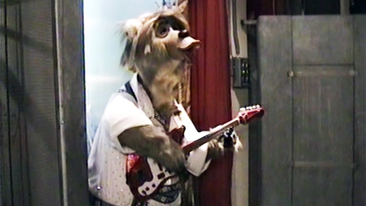 1996 Disneyland Annual Passholder Night: Behind the Scenes of Country Bear Jamboree Vacation Hoedown