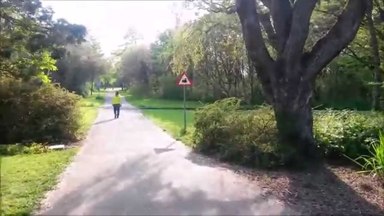Австрия #18: Прогулка по парку Донау (Donaupark, Vienna)