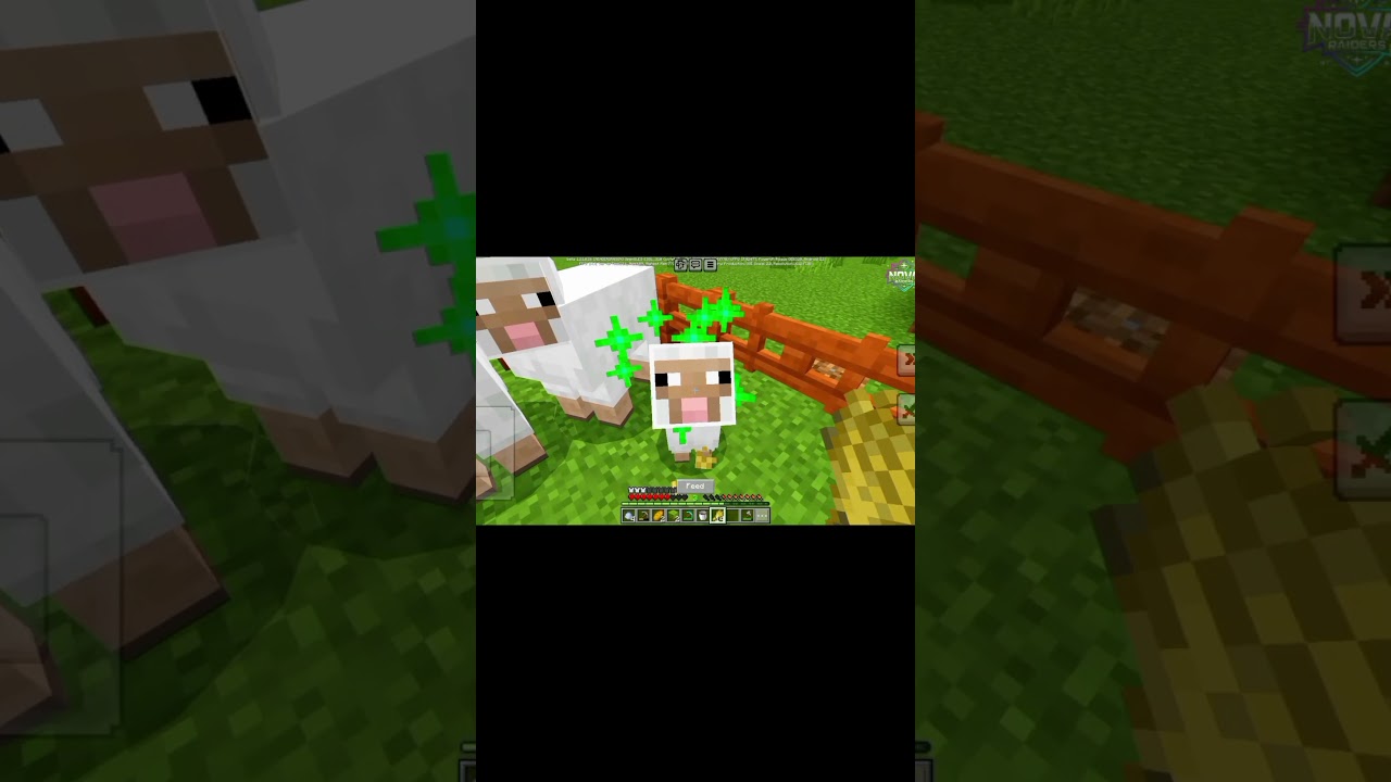 Minecraft Bangla | #minecraftbangla #banglagaming