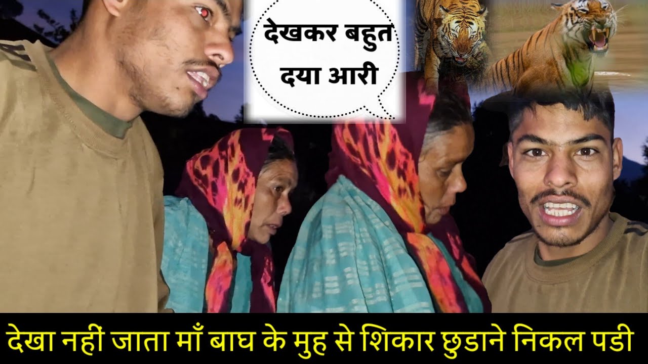 🥹देखा नहीं जाता बाघ के मुंह से माँ शिकार छुड़ाने निकल पड़ी || Pahadi Lifestyle Vlog ||