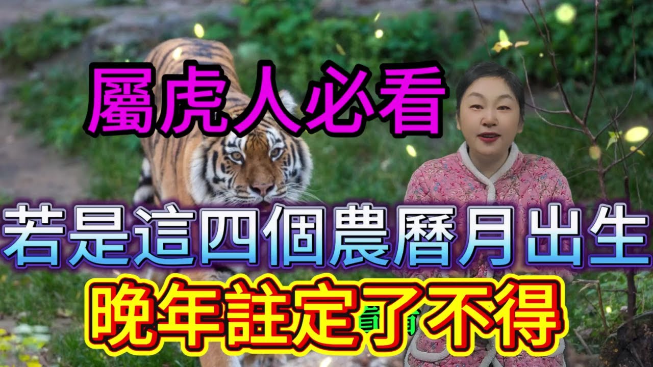 命裏有時終須有，命裏無時莫強求 屬虎人必看！若是這4個農曆月出生，晚年可是 “了不得”！快對照看看你家有嗎？#運勢 #十二属相 #生肖 #星座 #補財庫旺財氣 #財富 #分享