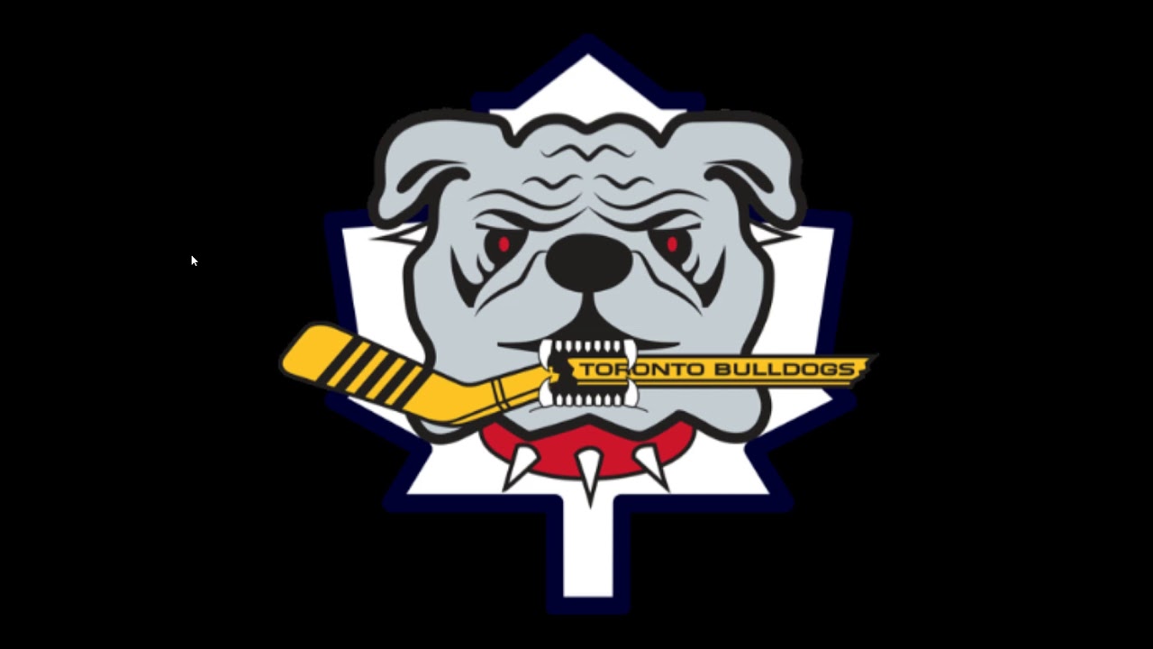 Toronto Bulldogs 1998-99 Goal Horn (MSHL)