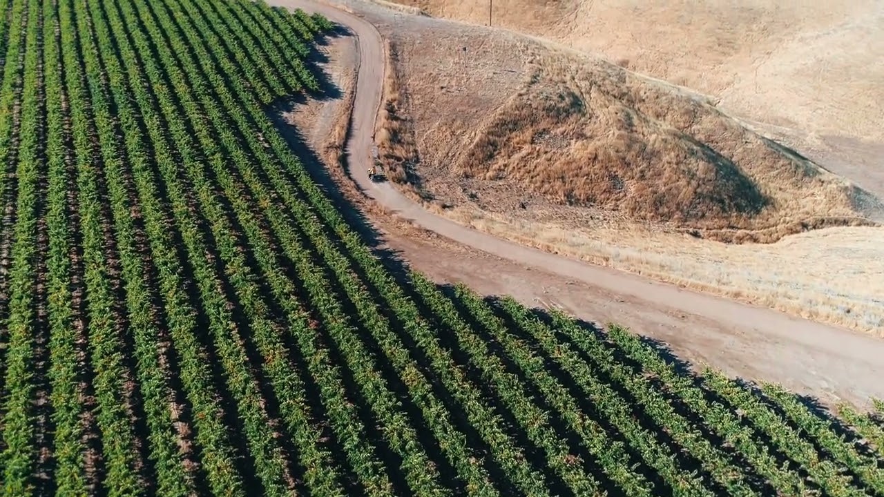 French Camp Vineyard Virtual Tour