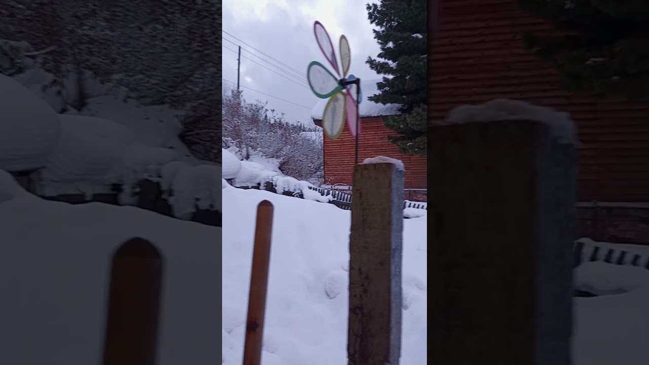 ЧЕТВЕРГ. | ⟨19.02.2026⟩ | 18:14 #Shorts