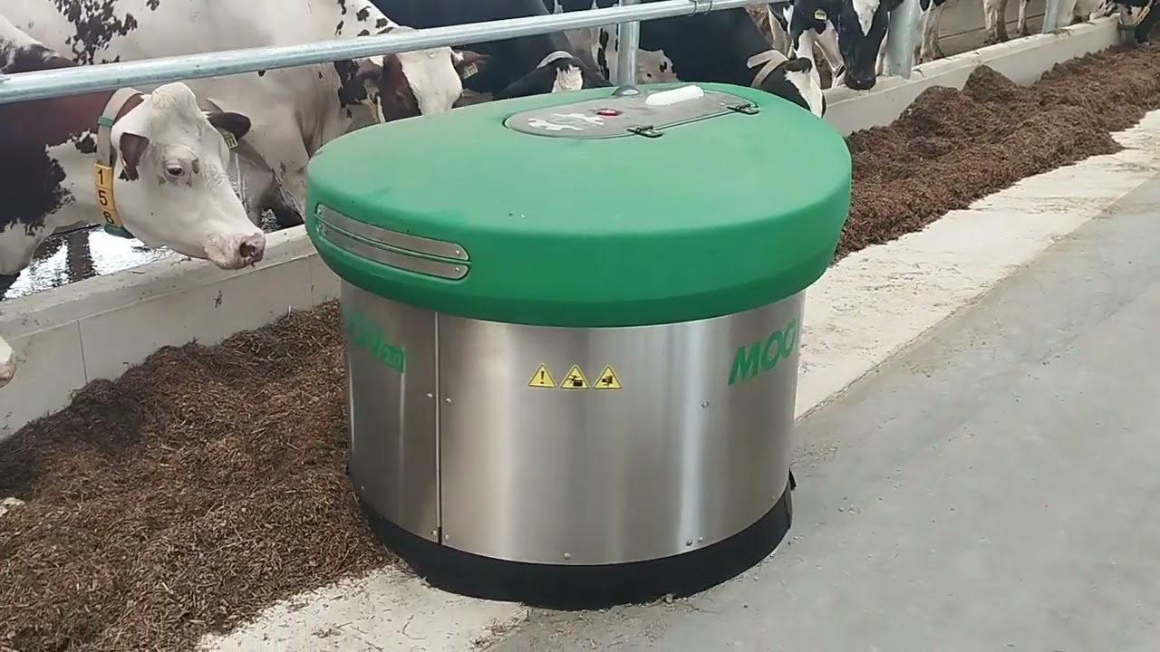 AgroMilk Alex - Prezentacja robota JOZ Moov 2.0