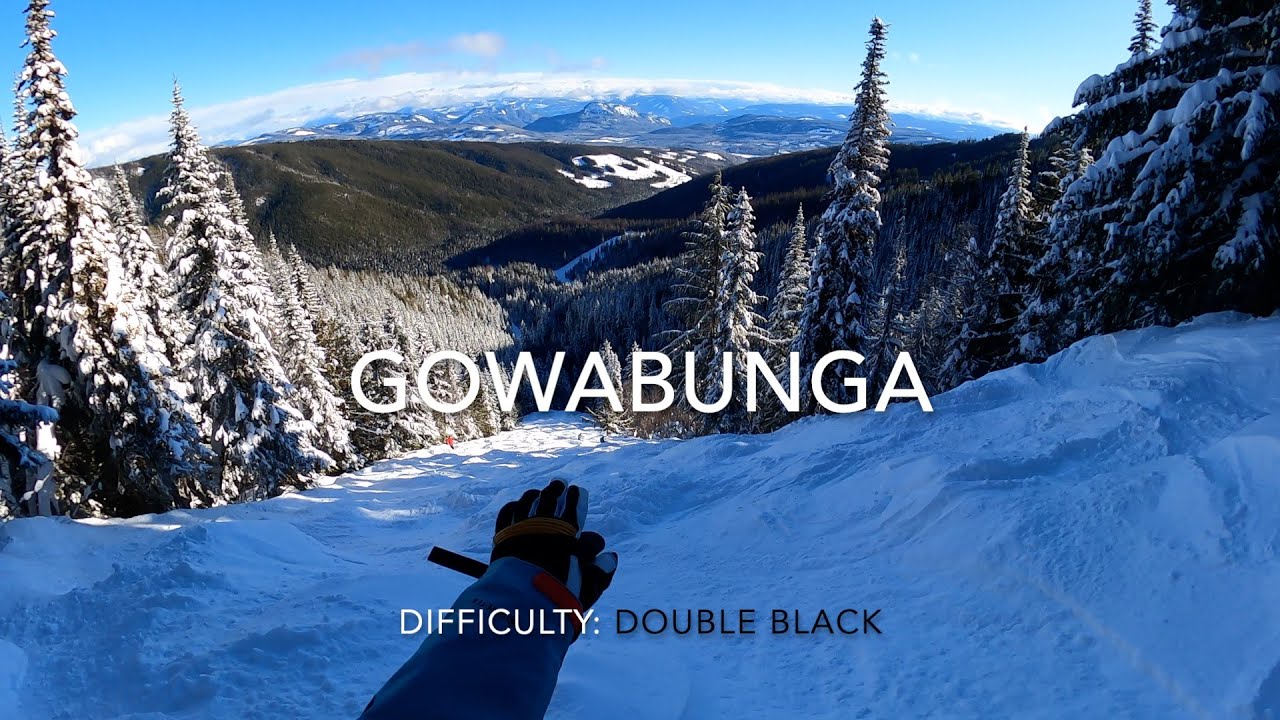 Silver Star Guided Ski Tour: Gowabunga