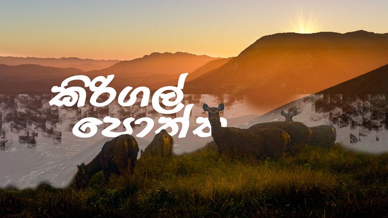 ලේසියෙන්ම නගින්න පුළුවන් hike එකක්  | Kirigalpoththa Mountain Hike through Horton Plains