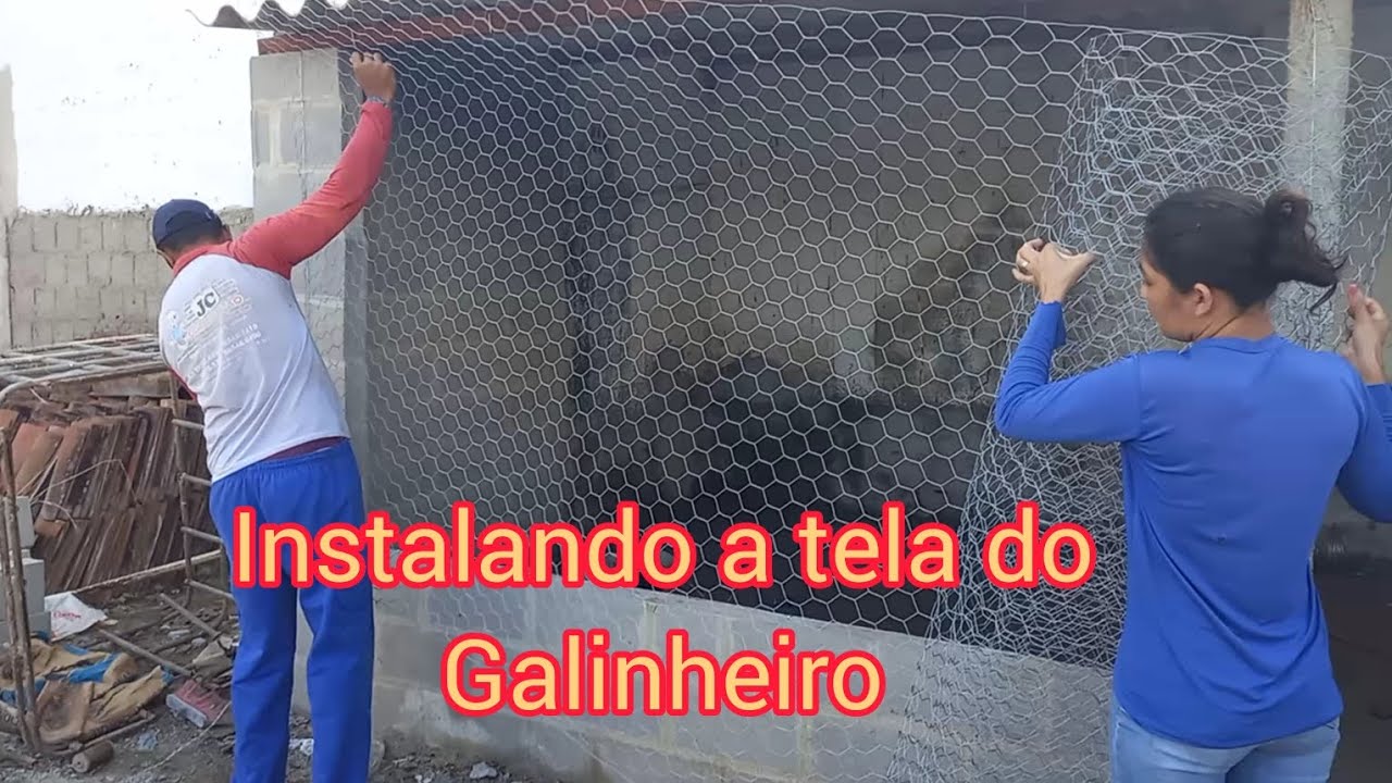 Como construir um galinheiro no quintal, instalando a tela.