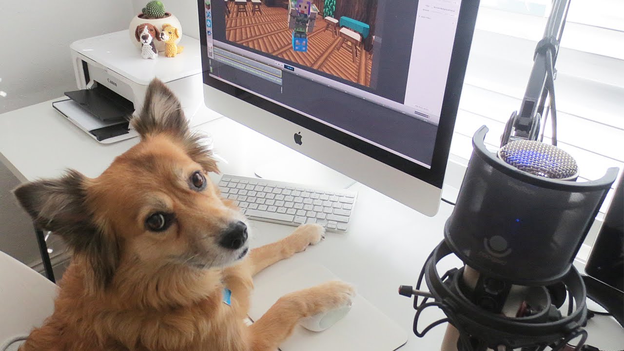NEW EDITOR! - MONDAY VLOG