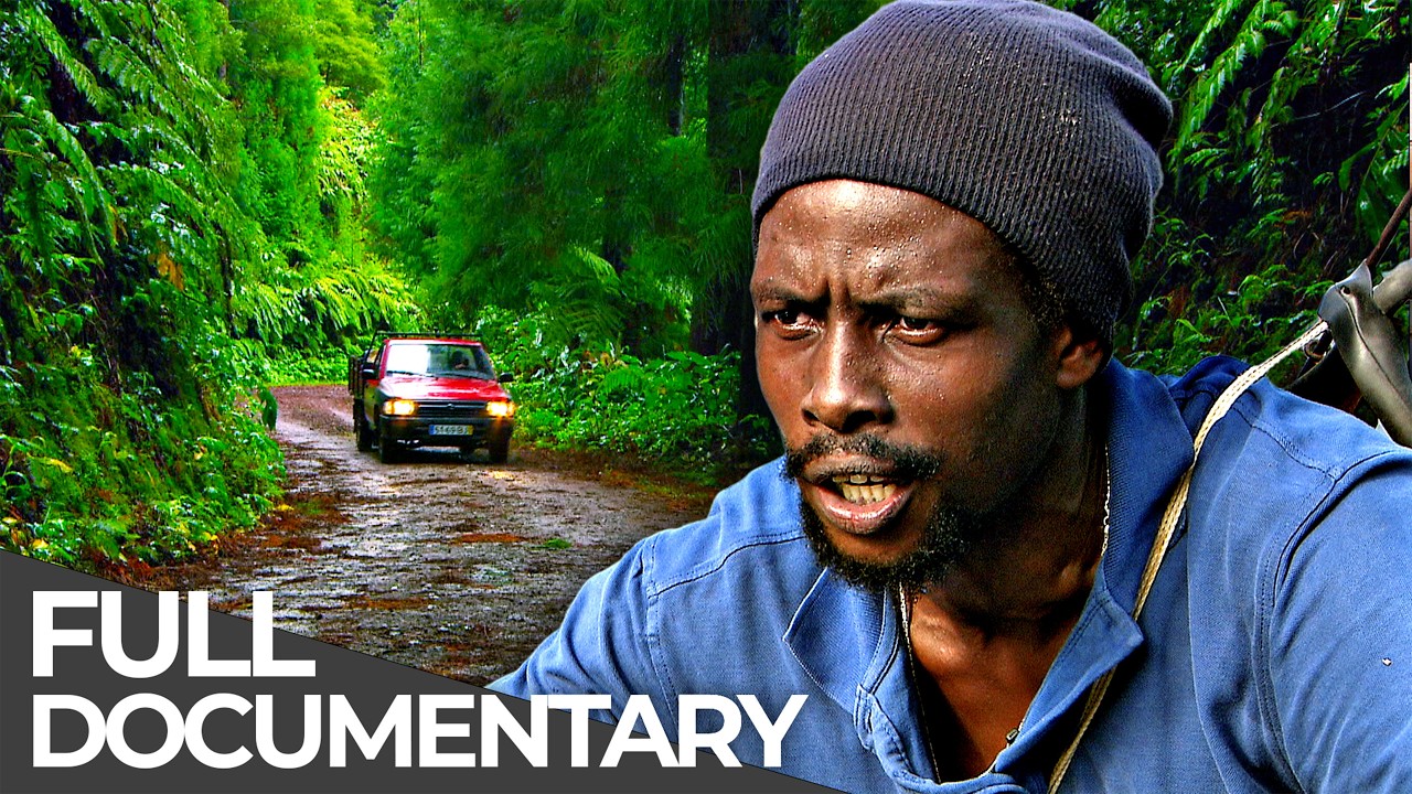 Amazing Quest: Jamaica, Azores & More | Somewhere on Earth: Best Of | Free Documentary