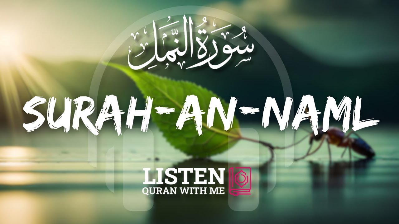 Surah-An-Naml | The Ants | Omar Hisham Al Arabi | Listen Quran With Me
