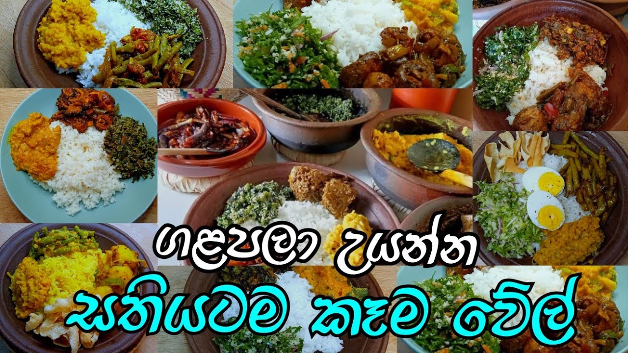 ගමේ රසට ගලපලා උයමු!  සතියටම දවල්ට ,රෑට කෑම වේල්  🥰 Meal  Plan Sinhala!  Doni Ammai