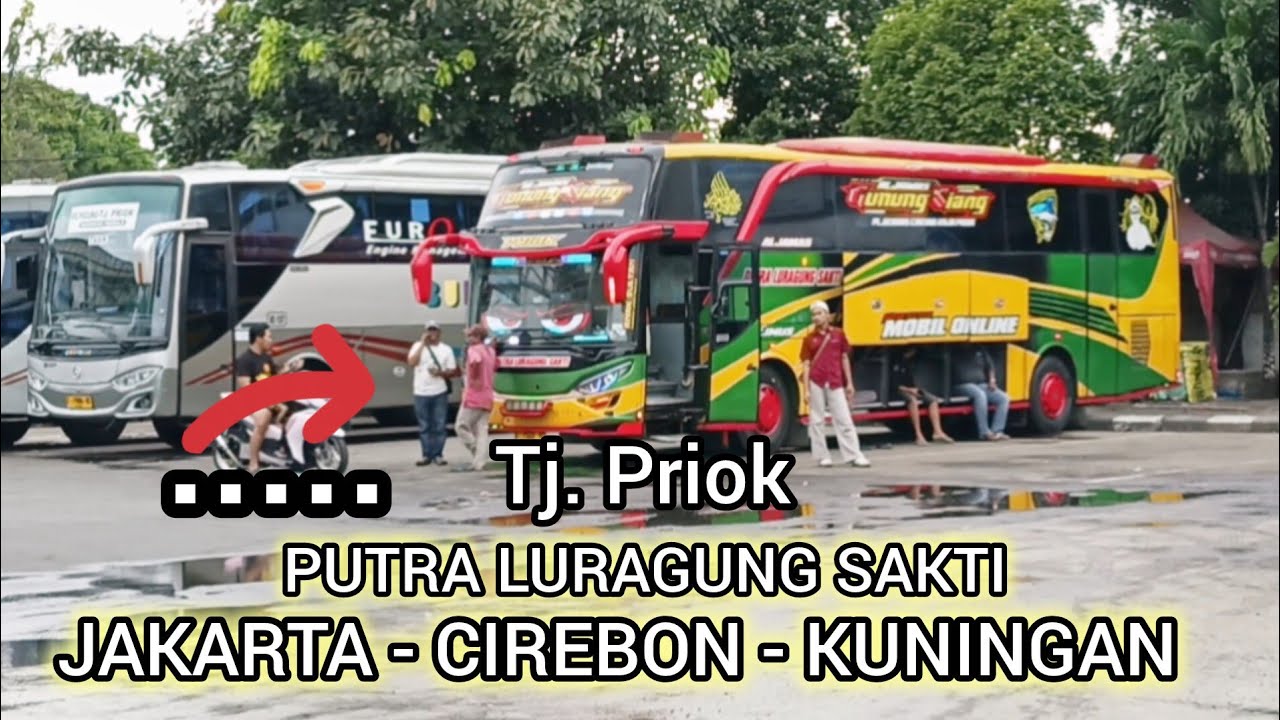 Bus Cirebonan !! Putra Luragung Sakti Aljamas, Hadir Setiap Hari Di Terminal Tanjung Priok