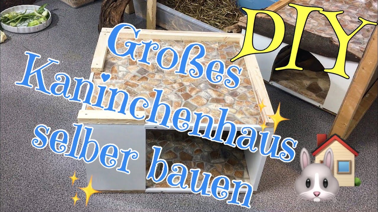 Großes Kaninchenhaus selber bauen | DIY