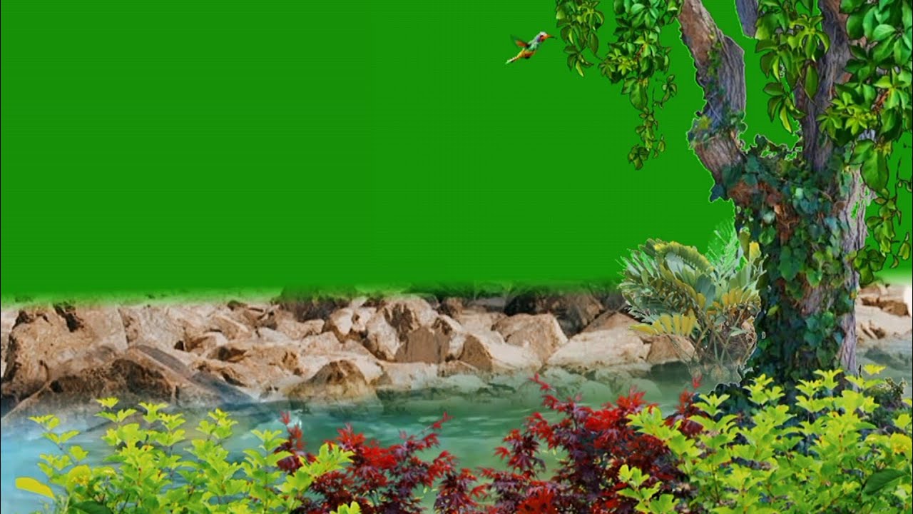Nature Green Screen / Green Screen Effects / River Green Screen / Background Video Effects hd / Tree