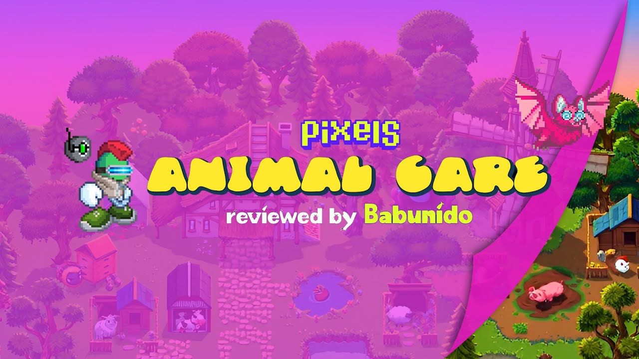 Pixels Update: Everything You Need to Know About Animal Care