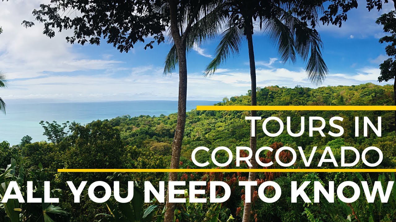 All you need to know about Corcovado National Park Tours