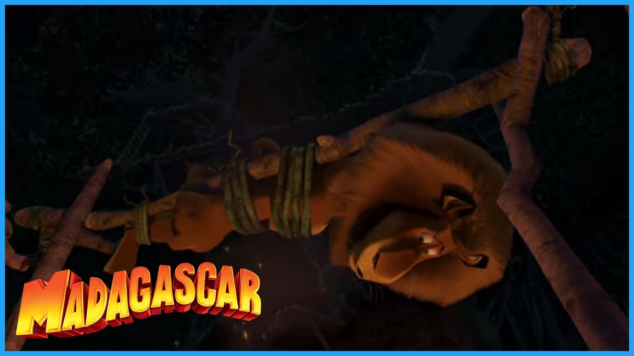 DreamWorks Madagascar | I'm From New York | Madagascar: Escape 2 Africa Movie Clip