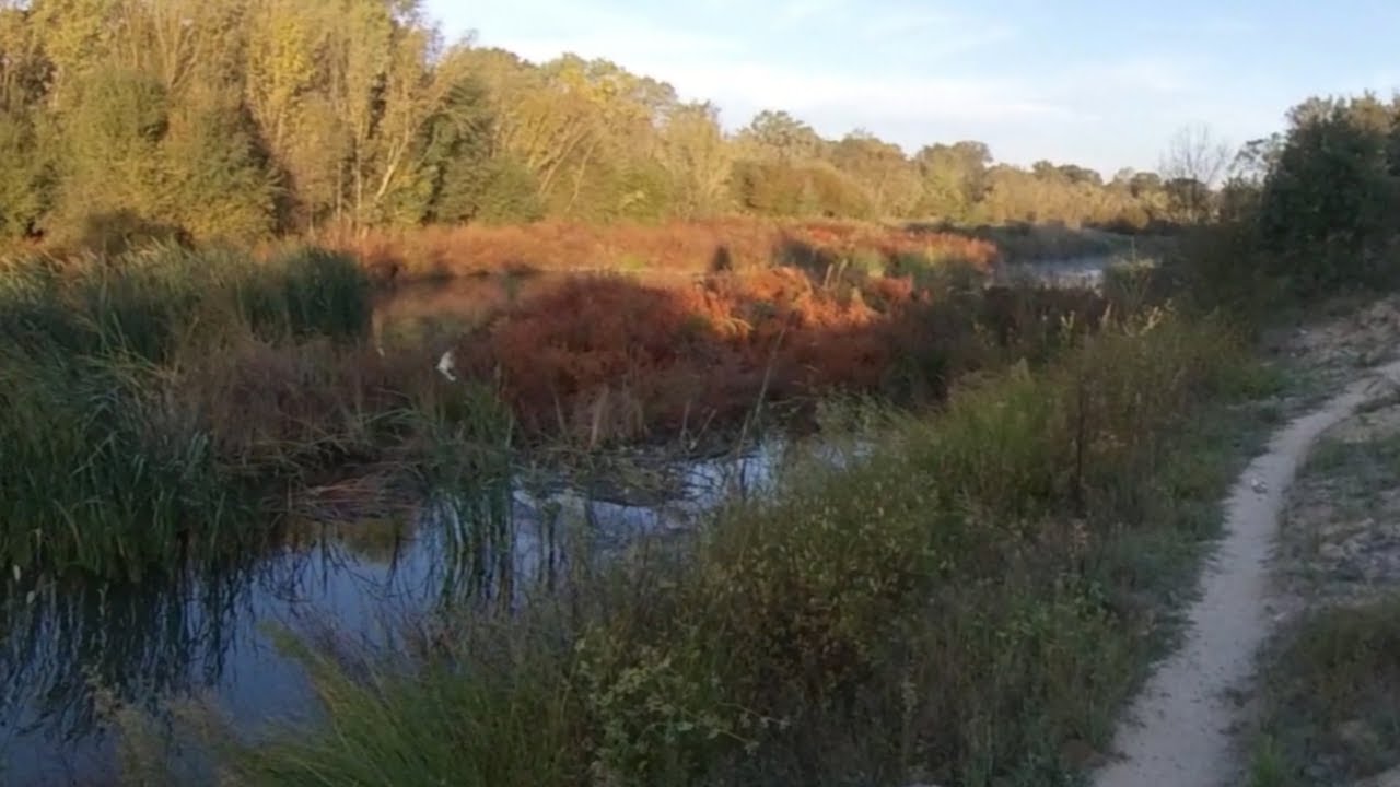 El Pardo- Senda fluvial del Manzanares-Fuente y Miradores de Valpalomero