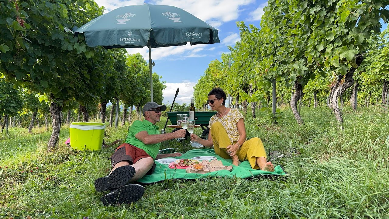 Segway-Tour und Picknick im Weingarten 