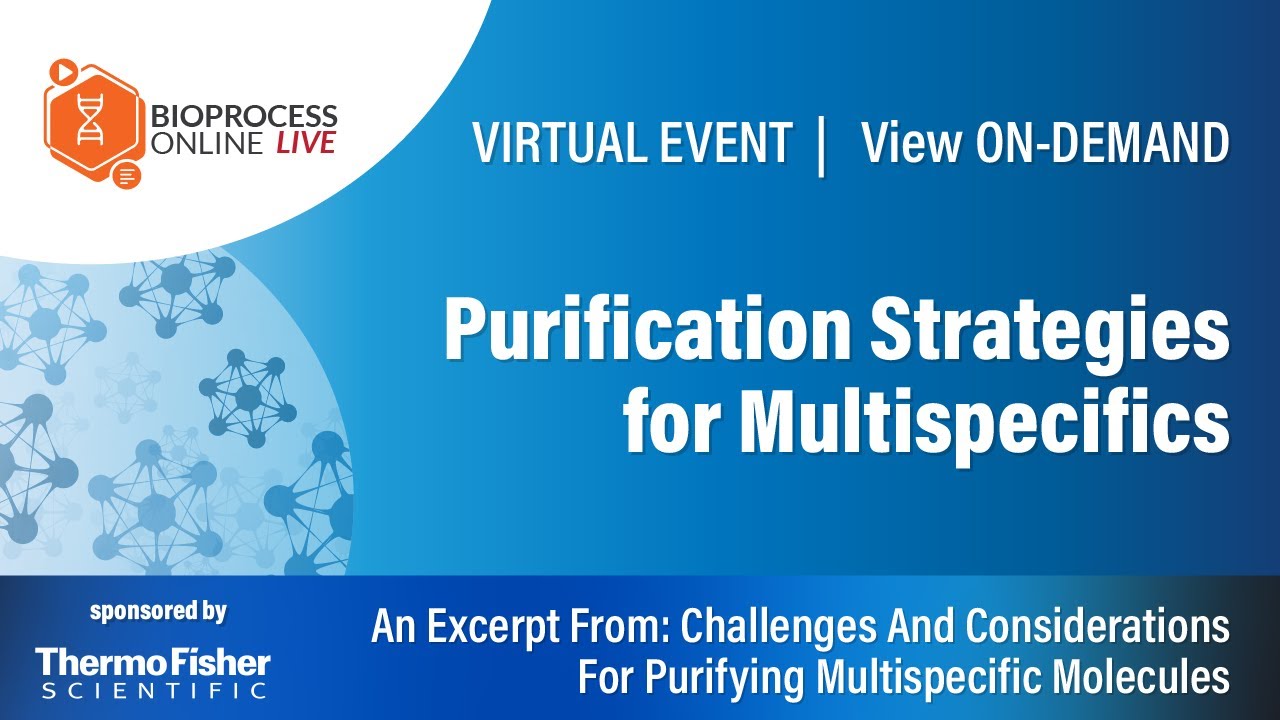 Purification Strategies for Multispecifics