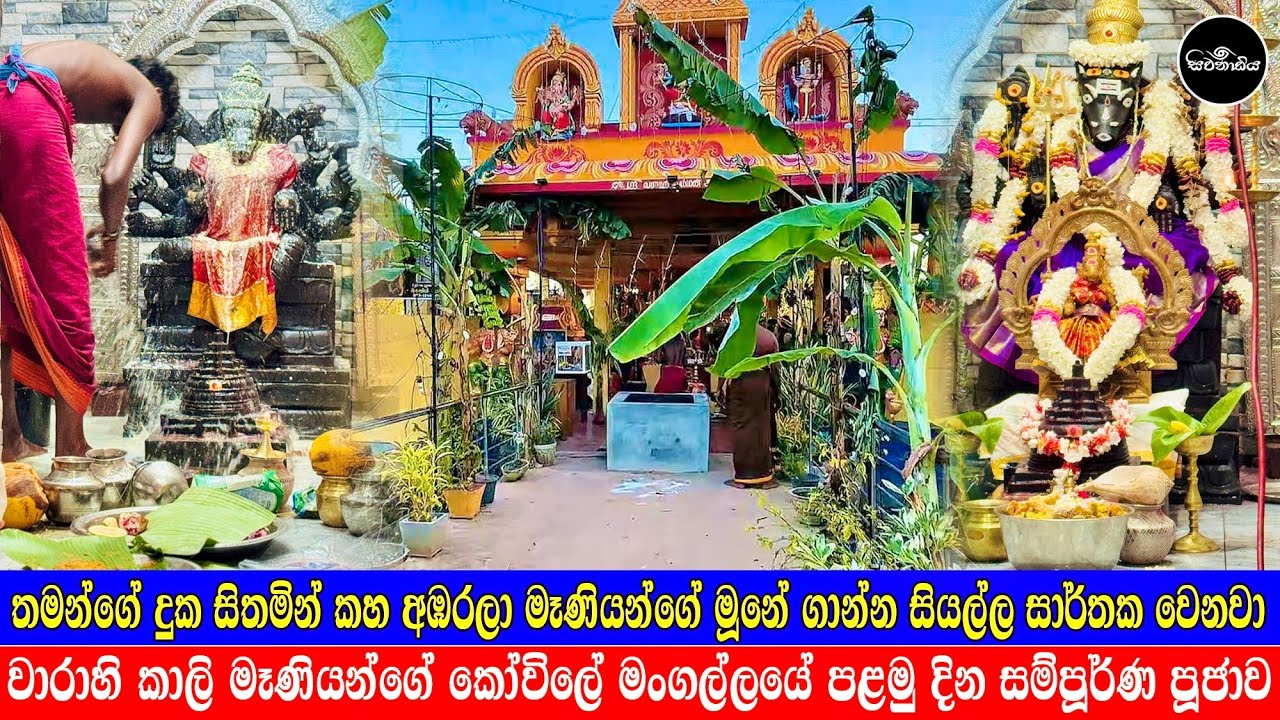 ලංකාවේ එකම වාරාහි මෑණියන්ගේ කෝවිලේ මංගල්‍යය ආරම්බක දිනයේ සිදු උනු හාස්කම් පිරි විශේෂ සිදුවීම්  