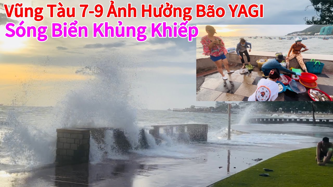 Vũng Tàu Ngày 7/9 Ảnh Hưởng Bão YAGI Gây Sóng Gió Rất Dữ,Chỉ 85 Ngàn Mua Được Mấy Ký Ghẹ Cá Tươi