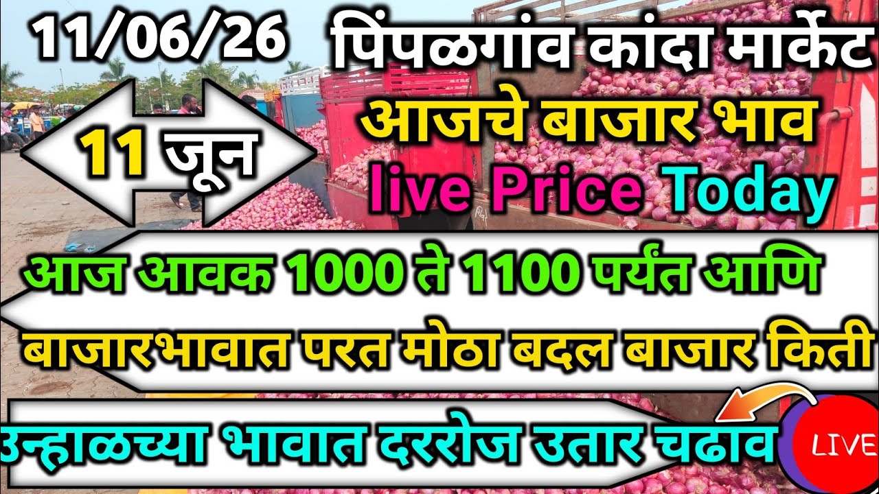 Pimpalgaon Onion Market Price Today:Latest Rates And Insights 11 jun 2025