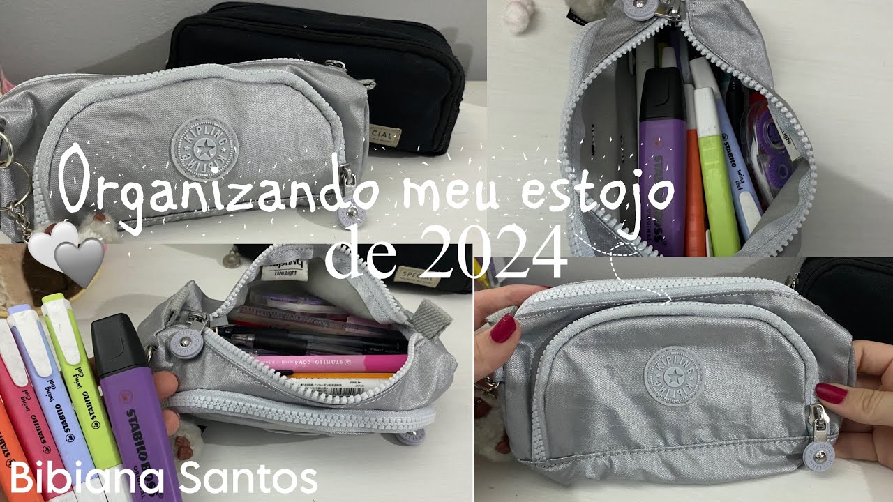 Organizando meu estojo de 2024 - Bibiana Santos