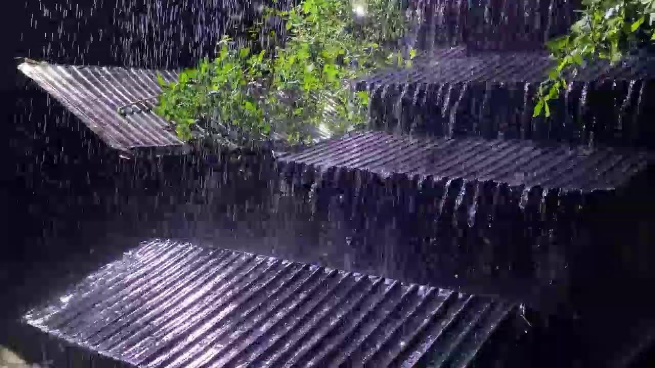 Night Rainstorm Ambience | Rolling Thunder on Metal Roof (No Music)