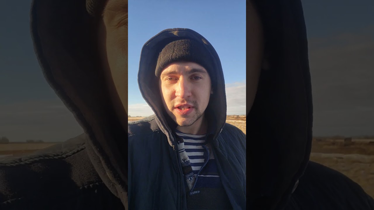 Чем кормить диких поросят🤷&zwj;♂️🐗 #деревенскаяжизнь #дикийкабан #экоферма #поросята #дикиепоросята