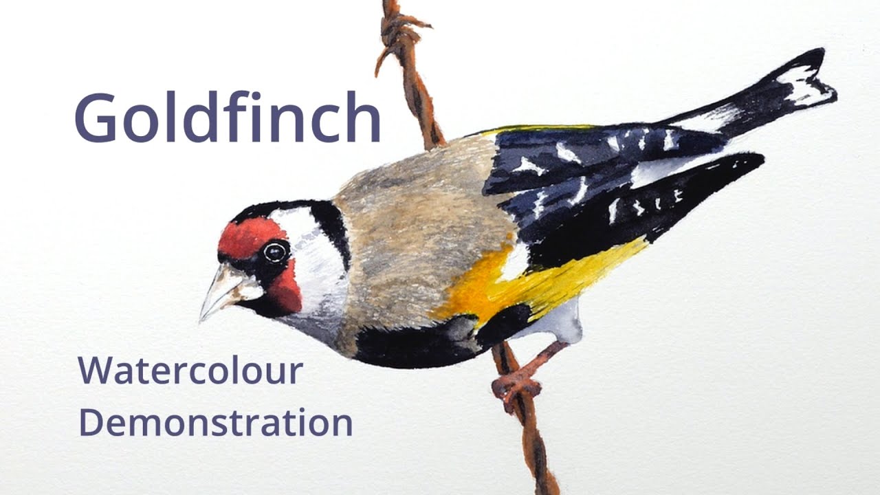 How to paint a Goldfinch - Watercolour painting demonstration