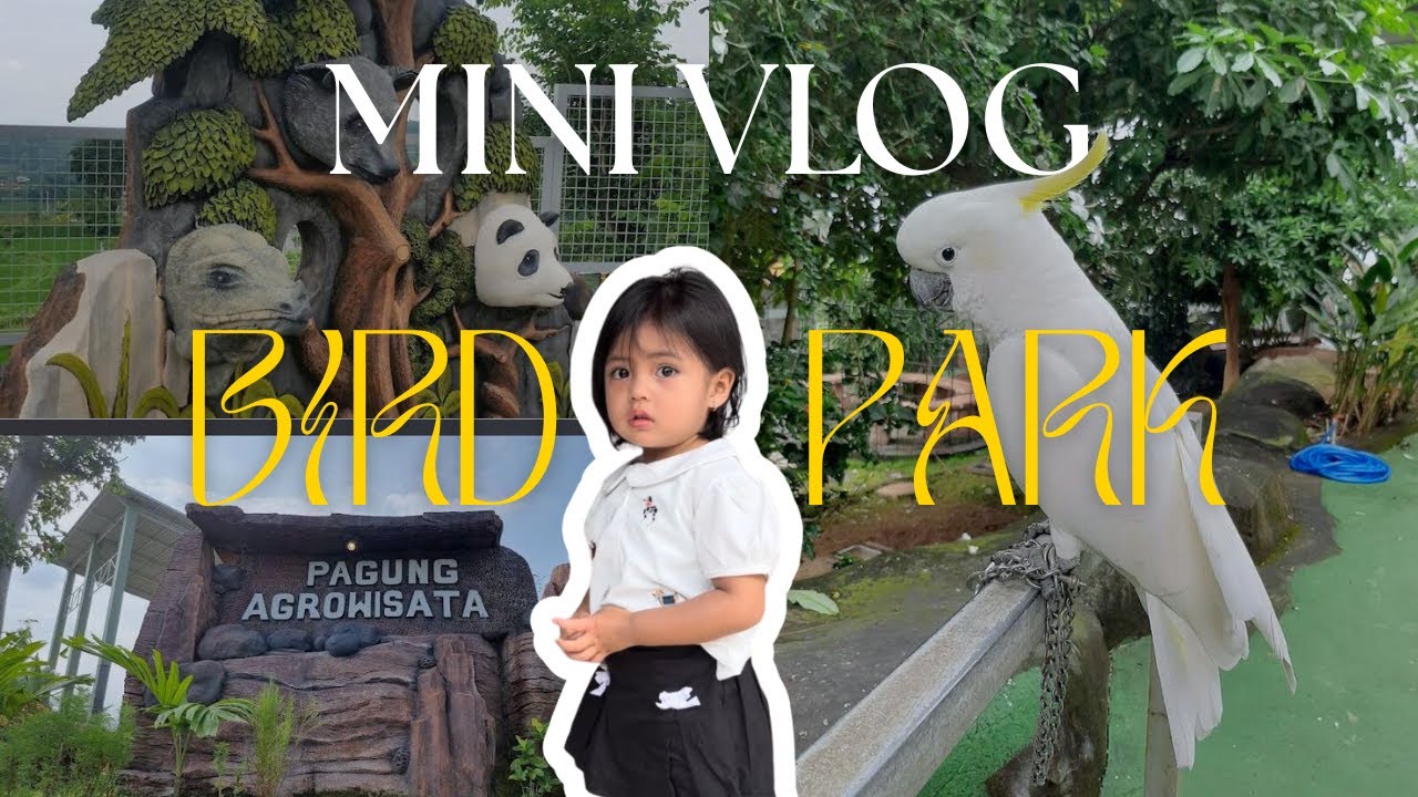 FIRST VLOG l A DAY AT MINI ZOO #KEDIRIVLOG