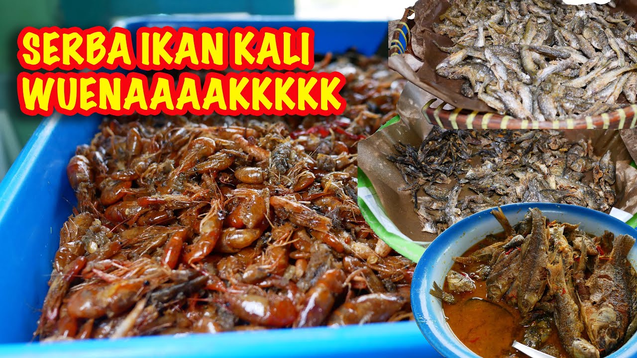 IWAK KALI KWILET MUNTILAN … BACANYA KWILÉT ATAU KWILÊT ??? NGELAWUHI SEMUA