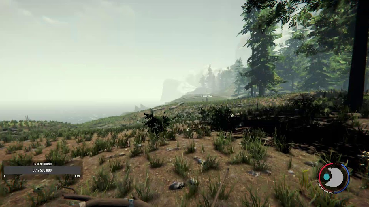 The forest новое начало)
