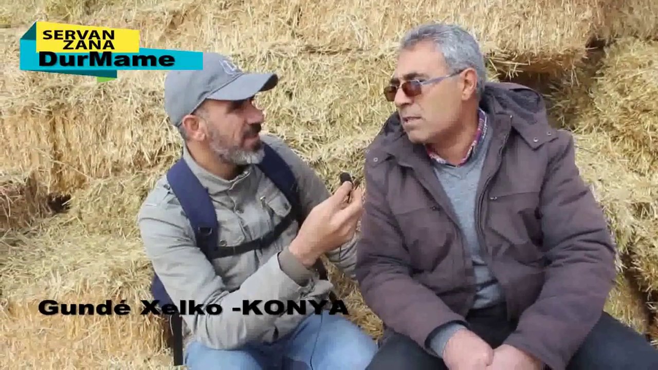 Xalko Gölyazı 2017