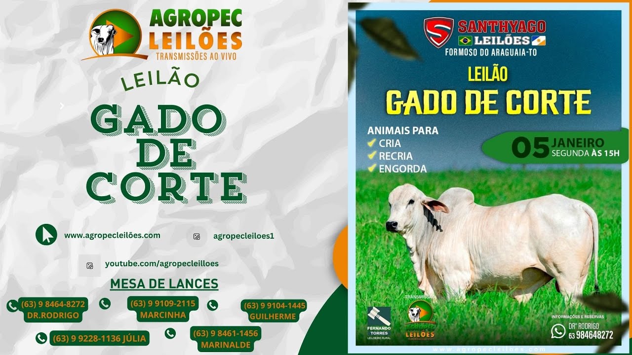 Agropecleiloes AO VIVO | LEIL&Atilde;O GADO DE CORTE | SANTHYAGO LEIL&Otilde;ES |FORMOSO DO ARAGUAIA-TO | 05/01/26