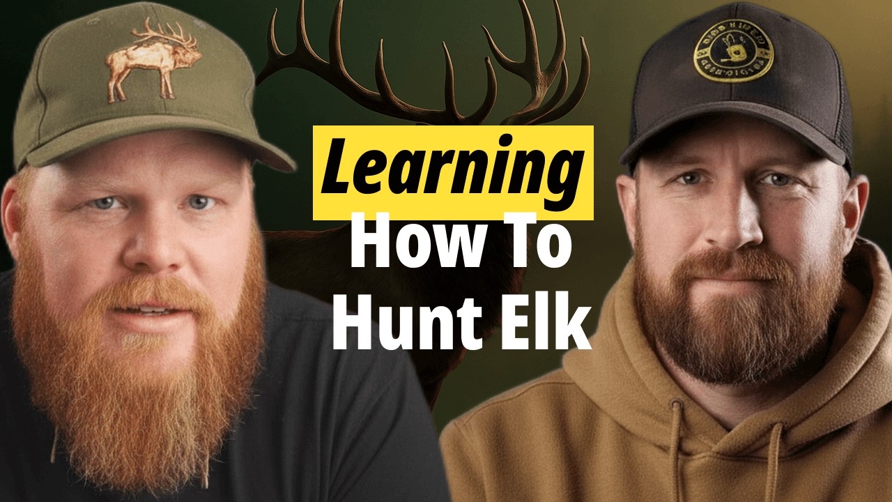 Learning How To Hunt Elk