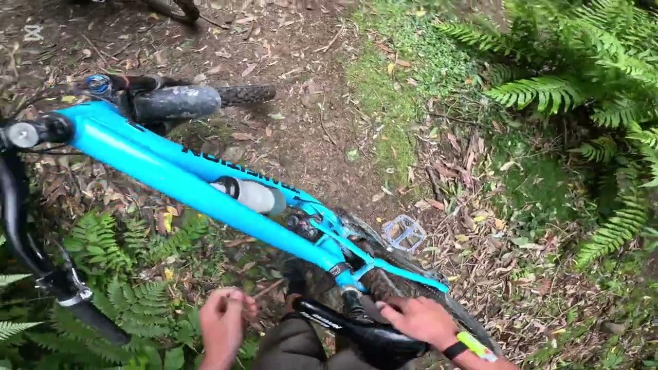 Wainuiomata enduro